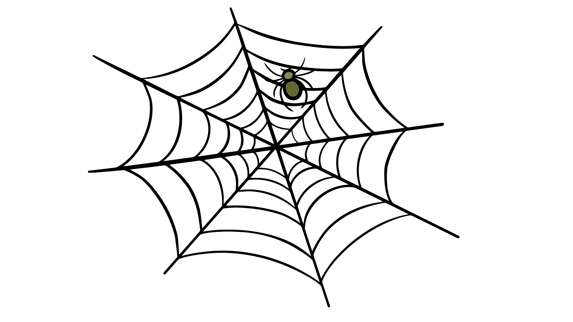 spider-web-doodly